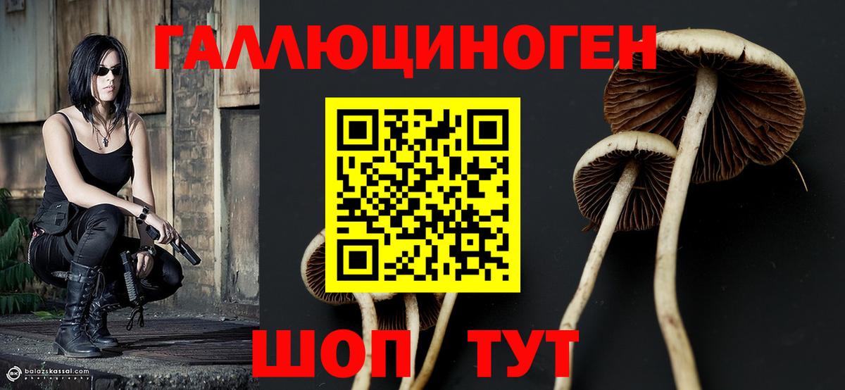 наркошоп  Вход с VPN  Иваново  Галлюциногенные грибы GOLDEN TEACHER  Галлюциногенные грибы MAGIC MUSHROOMS 
