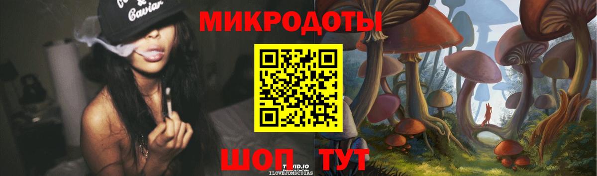 Галлюциногенные грибы Cubensis Иваново